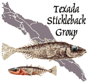Texada Stickleback Group